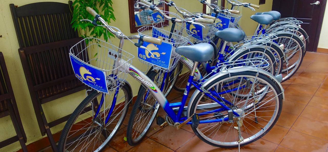 Leaf Homestay Hoi An Exterior photo