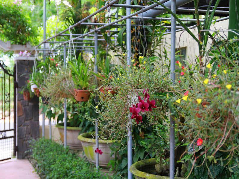 Leaf Homestay Hoi An Exterior photo